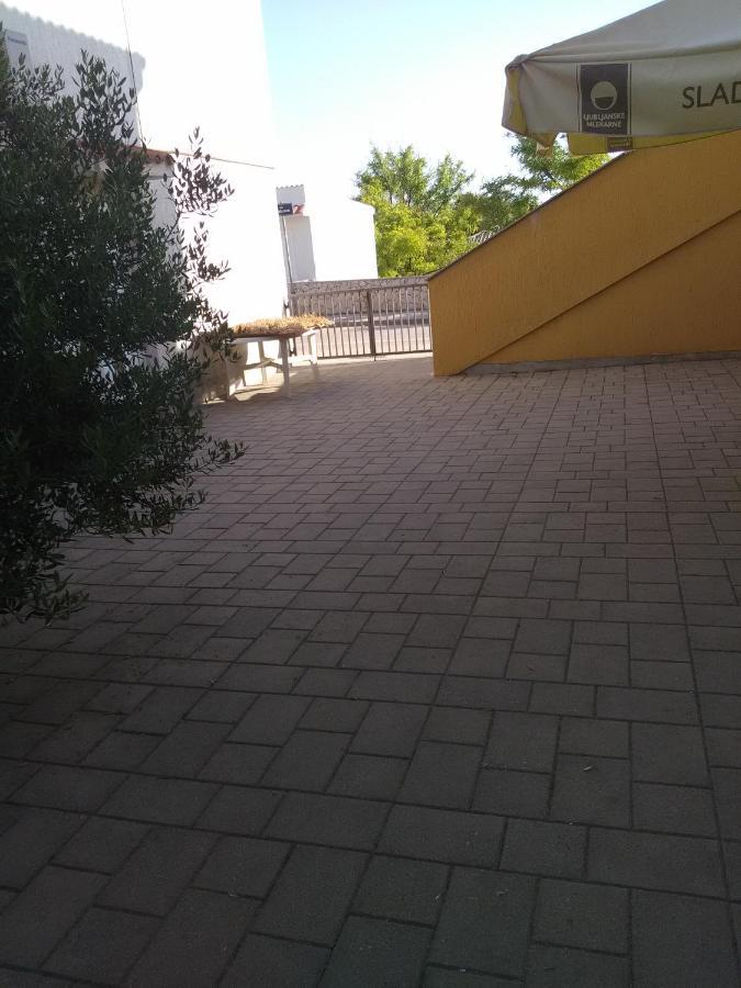 Apartment Ticic Povljana Εξωτερικό φωτογραφία